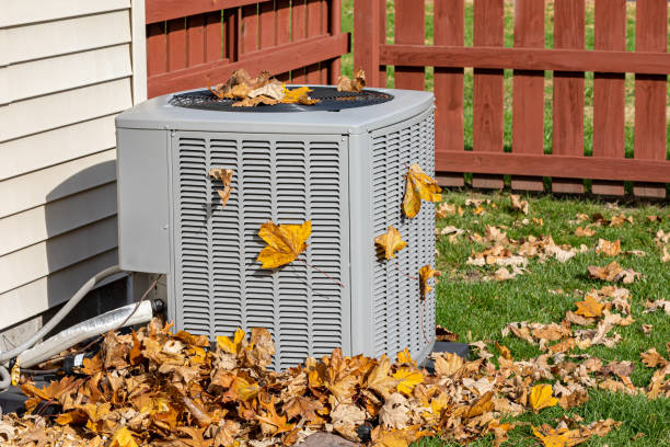 Best Affordable HVAC services  in Rockford, MI