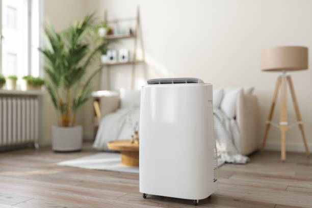 Best HVAC air duct cleaning  in Rockford, MI